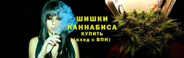 ПСИЛОЦИБИНОВЫЕ ГРИБЫ Балахна