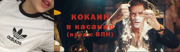 ГАЛЛЮЦИНОГЕННЫЕ ГРИБЫ Липки