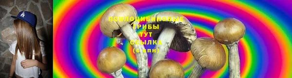 ПСИЛОЦИБИНОВЫЕ ГРИБЫ Балахна