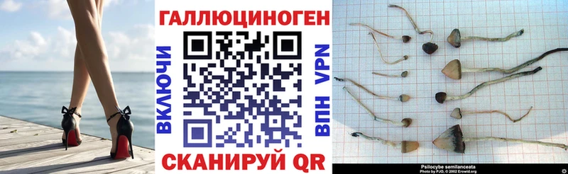 Псилоцибиновые грибы мухоморы Голицыно